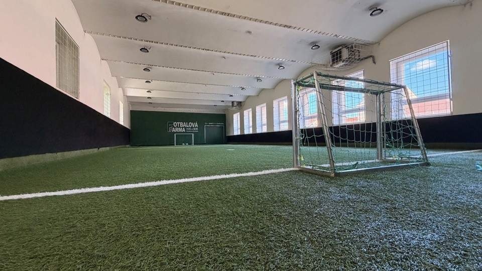 Aréna — vnitřní hřiště — Tělocvična s umělým trávníkem