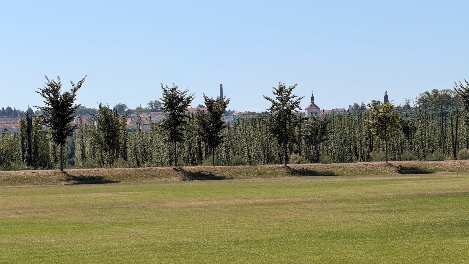 Travnaté hřiště, za ním chmelnice a panorama Roudnice nad Labem s kostelní věží